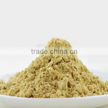 100% Pure and Natural Ginger Extract Powder
