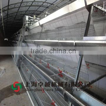 automatic A type layer battery cage with feeding hopper
