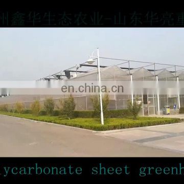 Agricultural greenhouses type pe + pc plastic film cover greenhouse for agriculture production