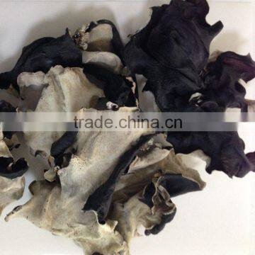 Dried White Back Black Tree Mushroom Fungus Strips