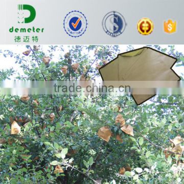2015China Food Grade Apple Fruit White Grape Paper Growing Protective Bags