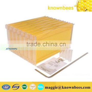 Two Layer Bee Hive with honey outflow frame
