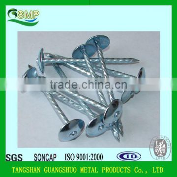Umbrella head galvanized roofing nails with rubber gasket