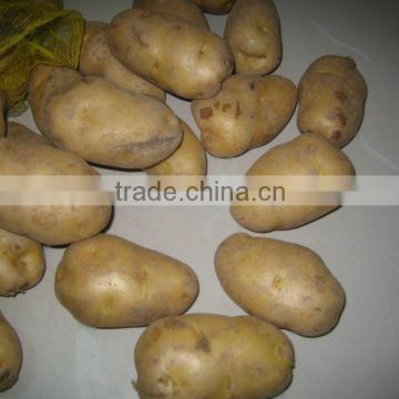 Chiese good fresh potato