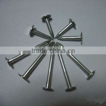polish common iron wire nail