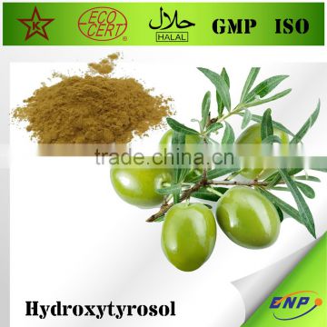 Sell Top quality competitive price Olive Leaf Capsule/Hydroxytyrosol Capsule