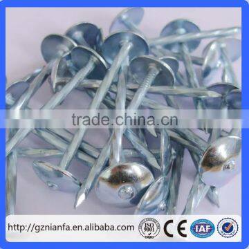 20/25KG package common nail/fence staples u nails/nail factory(Guangzhou Factory)