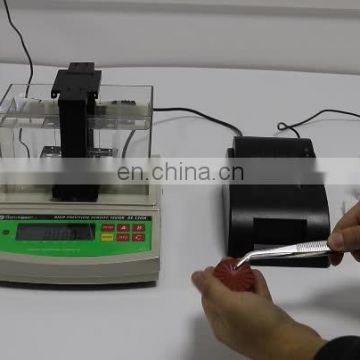 China Factory Electronic Densitometer Price , Density Testing Instrument for Rock , Stone , Minerals,Mining,Geology