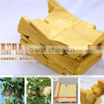 Pear protective paper bag with different size cheap price