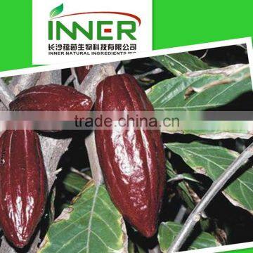 Natural Cocoa Powder