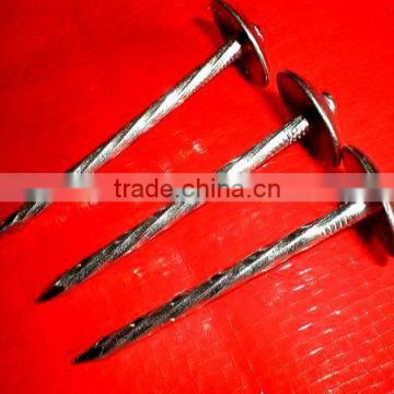 umbrella head galvanzied and twisted shank 3"roofing nails