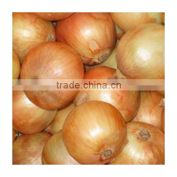 2015 fresh bulk onions with low price