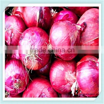 Chinese 2015 new red onion
