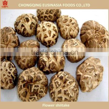 Dried flower mushroom, china shiitake mushroom