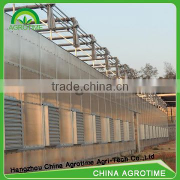 Multi Span Glass Greenhouse for Tomato Production