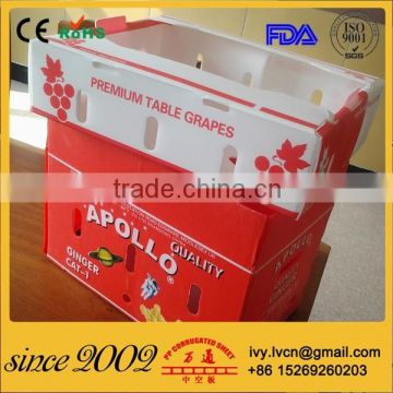 Folding corrugated plastic reusable box for fruit and vegetable packing