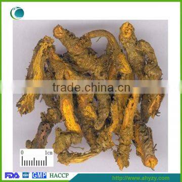 Chinese Natural Coptis Chinensis (Huang lian)