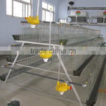 battery brooder cages of poultry chicks for sale