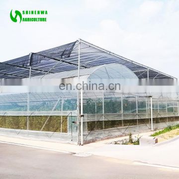 Versatile Multi Span Poly film Greenhouse for Agriculture / Hydroponics / NFT and Soiless systems