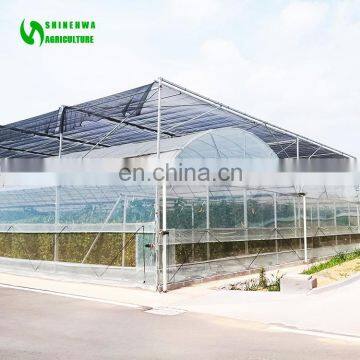 Versatile Multi Span Poly film Greenhouse for Agriculture / Hydroponics / NFT and Soiless systems