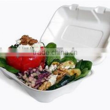 single-use biodegradable lunch box