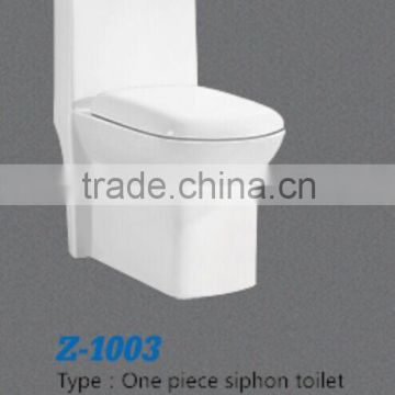 Cheap sanitary two pieces toilet
