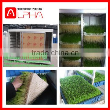 Hot sale grass seeds planting machine machine for grow grass hydroponic growing systems