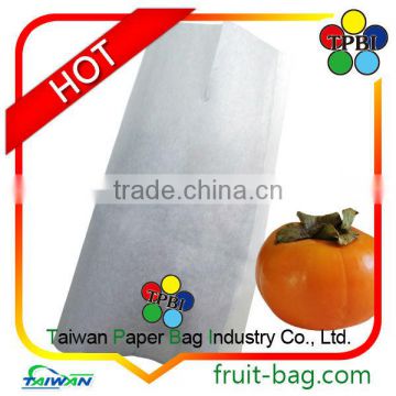 Persimmon bag paper bag for sale protection bag