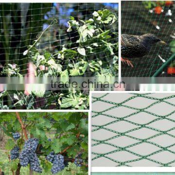 China supplier bird netting / hdpe agricultural net / anti bird netting