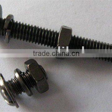 M6 Cross Pan Waher Head Screws assmebly