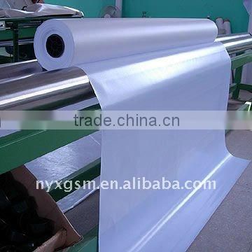 Fast drying Backlit Polyester Film