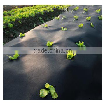 Junyu factory product Nonwoven fabric for Agriculture