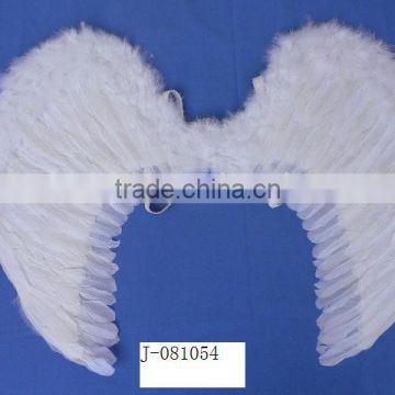 white angel wing