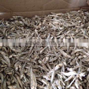 EXPORT/IMPORT BOILED FISH ANCHOVY SPRATS (Email: katherine.vilaconic@gmail.com, Viber, Whatsapp: +841687264621)