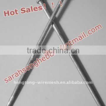 Brand Common Nails Iron Nails Factory/Common Round Iron Wire Nails