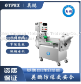 Hangzhou Yingpeng Automatic Vegetable Cutting Machine
