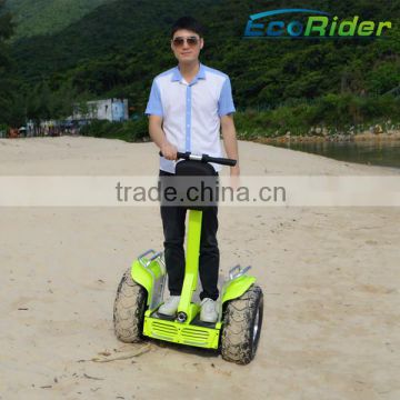 High end 2 wheel electric standing scooter,electric chariot with CE,FCC,ROHS