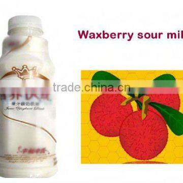 Hot Sale Formula Waxberry sour milk