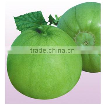 Sweet melon Seed For Sale Green Tender