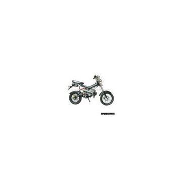 DIRT BIKE (WJDB-009)