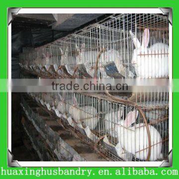Wholesale !! rabbit farming cage/poultry equipment(professional factory)