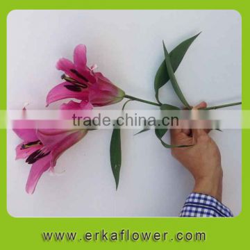 Elegant in smell top sell china home decoration flower Lilies