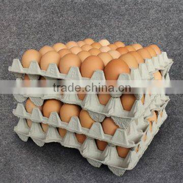 Recycle Paper Pulp Free Egg Cartons