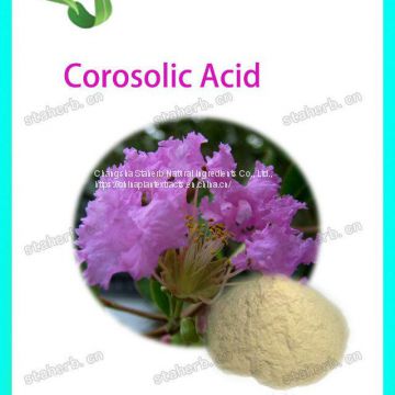 corosolic acid  1%-98%  Banaba Leaf P. E.