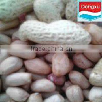 chinese peanut kernels 50/60
