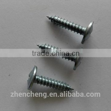 Modified Truss Head self tapping screw zinc plated