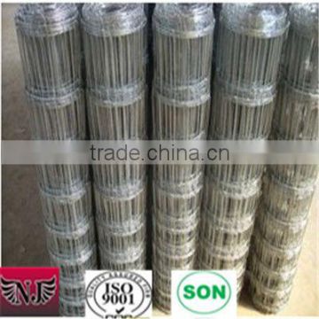 Anping county iron field fence(manufacturing)