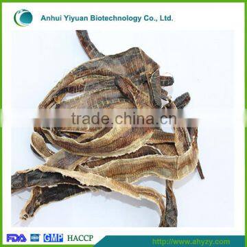 Supply High Quality Pheretima (Di long)