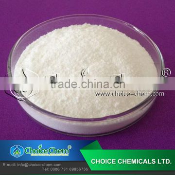 L-Glutamic Acid 98% crystal for best price