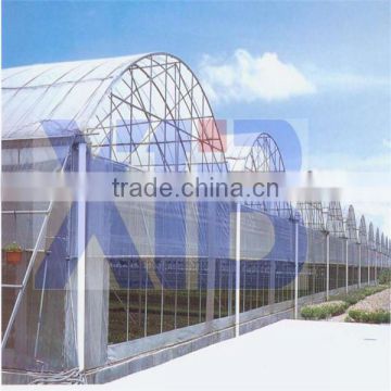 Film Greenhouse for Vegetable Cultivation